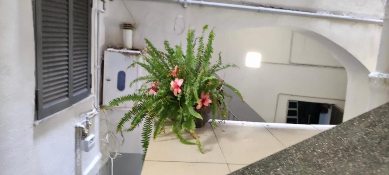 דירות נאפולי Centro Storico S Chiara House מראה חיצוני תמונה